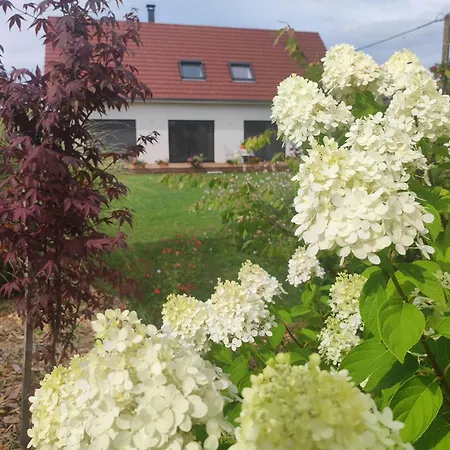 Bed & Breakfast D'hote Chemin Des Marguerites Niederhergheim